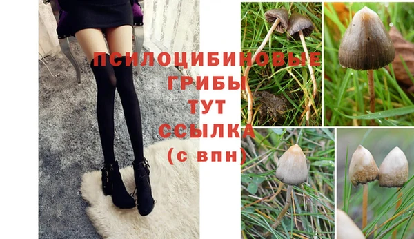 соль ск Дмитров