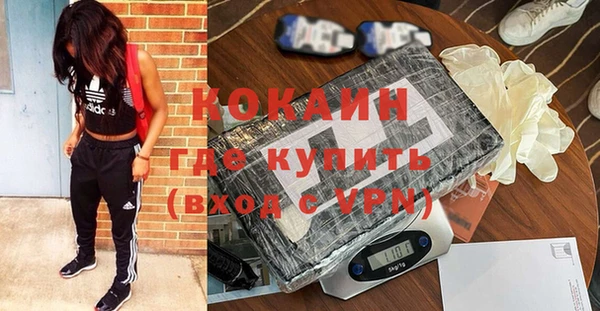 прущая мука Дмитриев