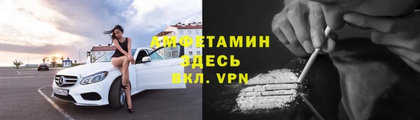 соль ск Дмитров