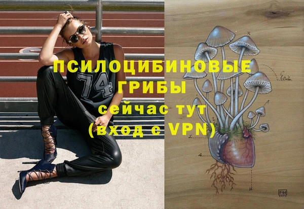 соль ск Дмитров