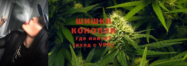 прущая мука Дмитриев