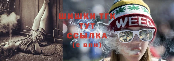 соль ск Дмитров