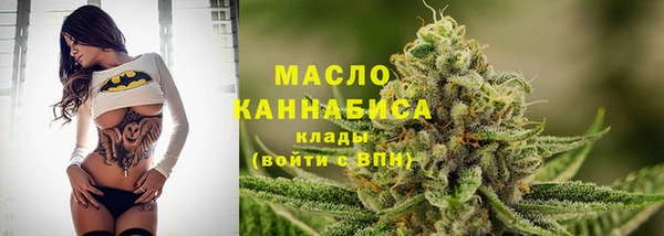 соль ск Дмитров